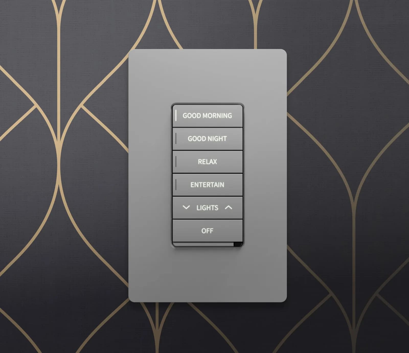 Crestron keypad with Good Morning, Good Night, Relax, Entertain and Lights buttons